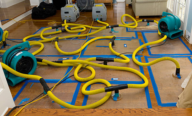 Professional Water Damage Repair technician working in Bancroft, WI